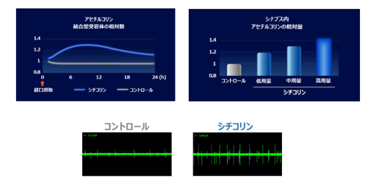 画像を説明するテキストなくても可