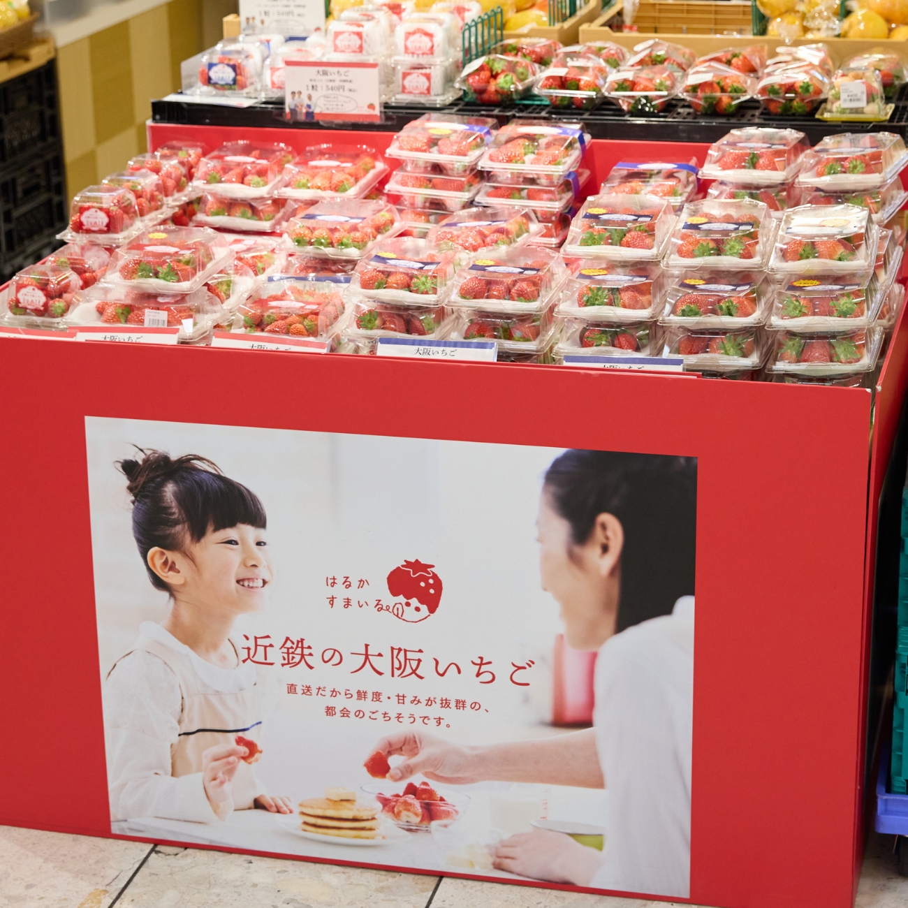 近鉄百貨あべのハルカス近鉄本店 ハルチカマルシェ「大阪いちご」売り場